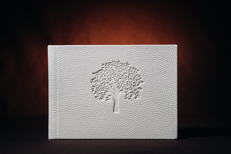 White book in genuine white leather on a dark embossed background